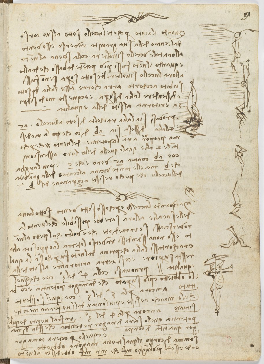 Birds Flight Code, c. 1505-06, paperikäsikirjoitus, cc. 18, arkki 9 recto tekijältä Leonardo da Vinci