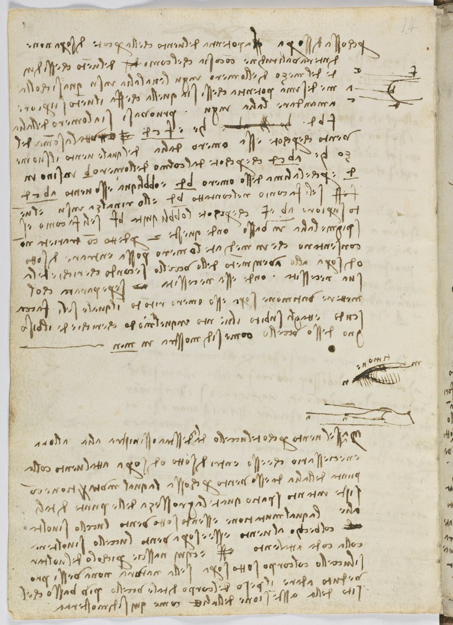 Birds Flight Code, c. 1505-06, paperikäsikirjoitus, cc. 18, arkki 9 verso tekijältä Leonardo da Vinci