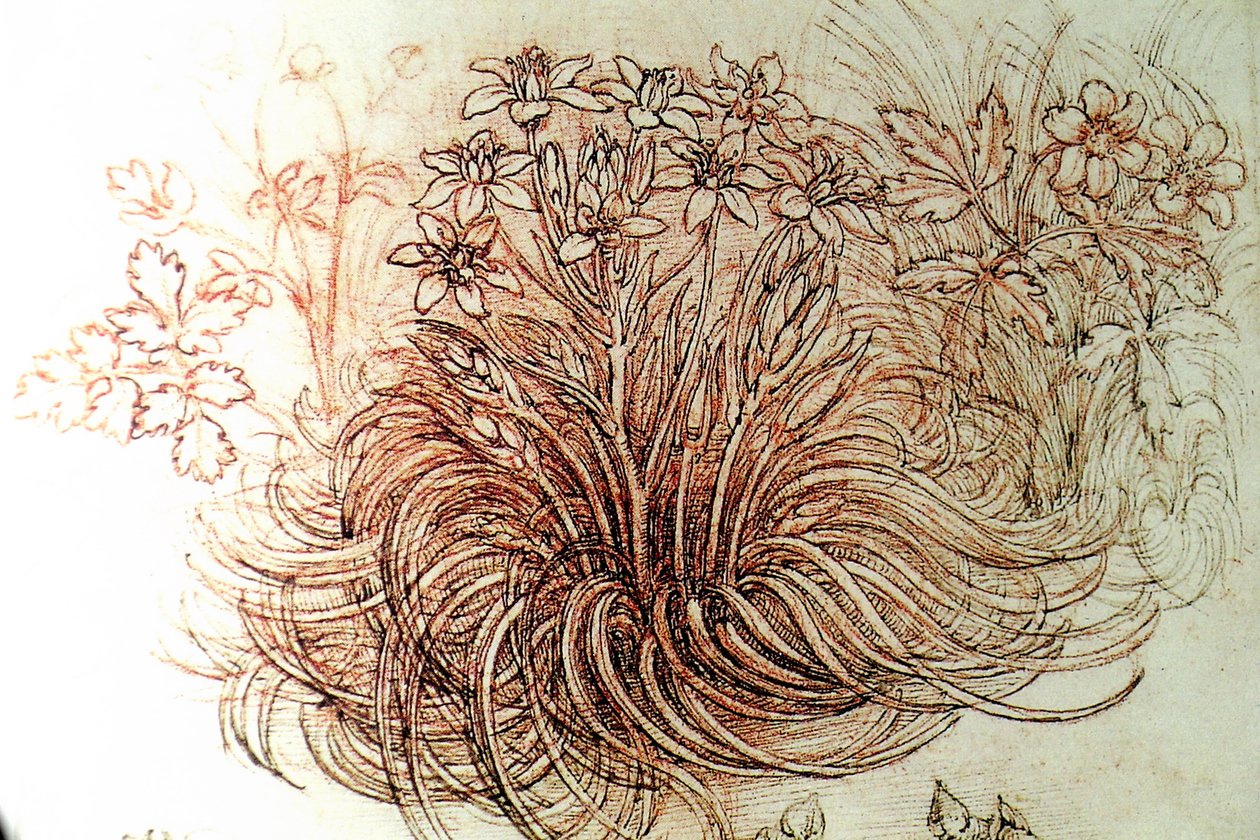 Blumen tekijältä Leonardo da Vinci