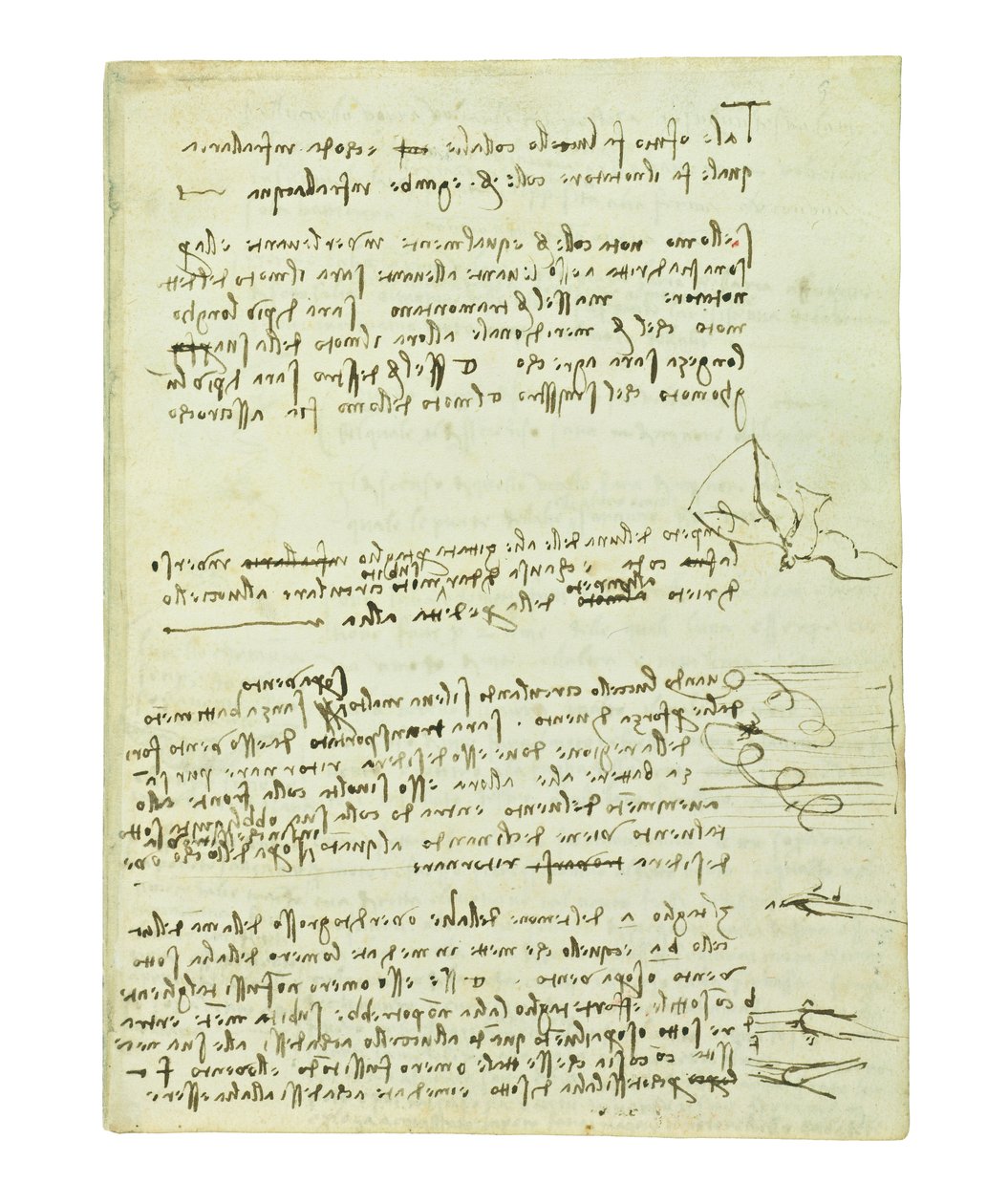 Codex lintujen lennosta, Folio 10 recto tekijältä Leonardo da Vinci