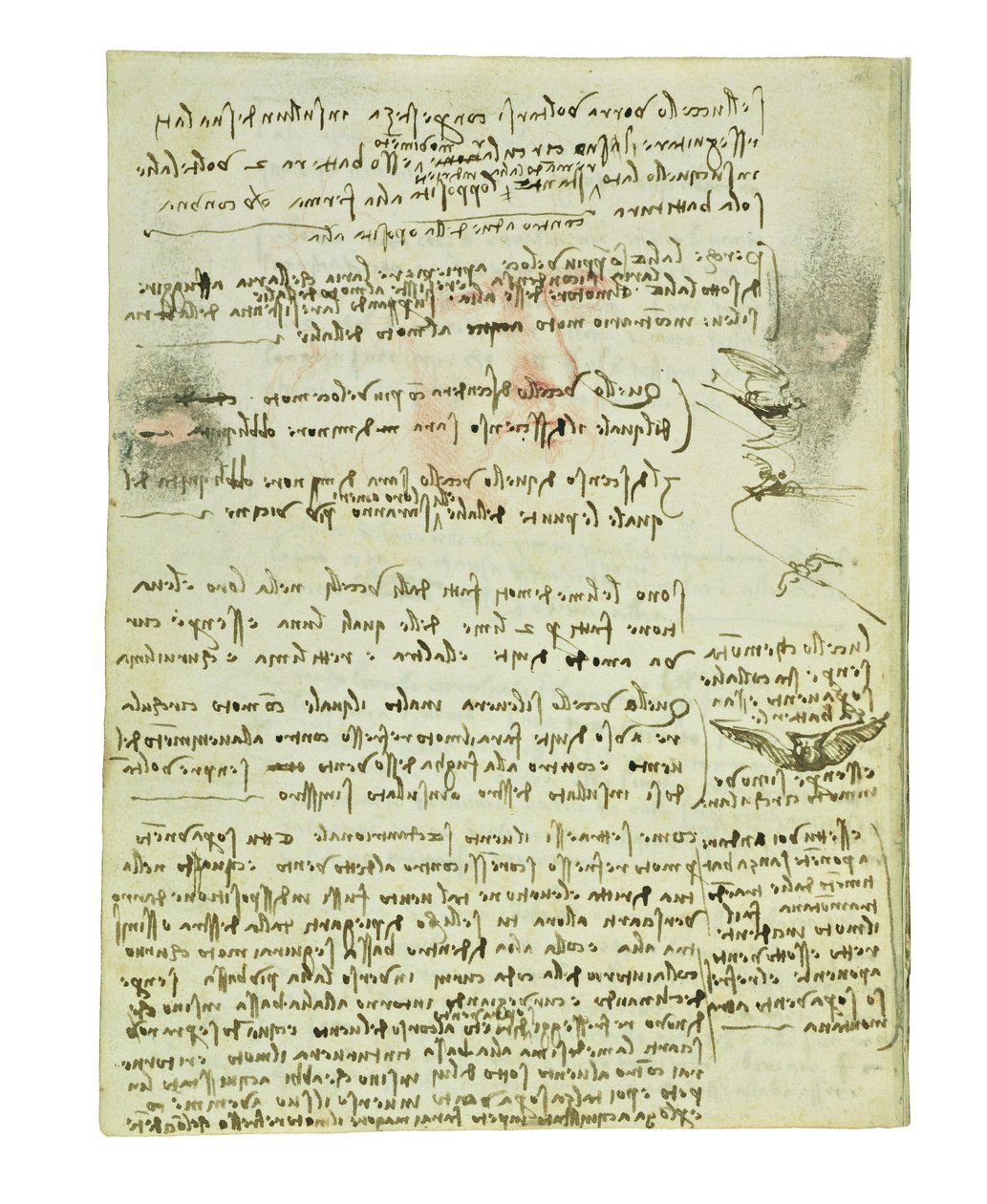 Codex lintujen lennosta, Folio 10 verso tekijältä Leonardo da Vinci