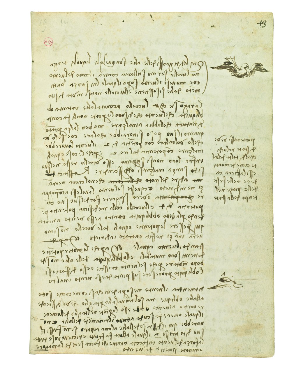 Codex lintujen lennosta, Folio 13 recto tekijältä Leonardo da Vinci