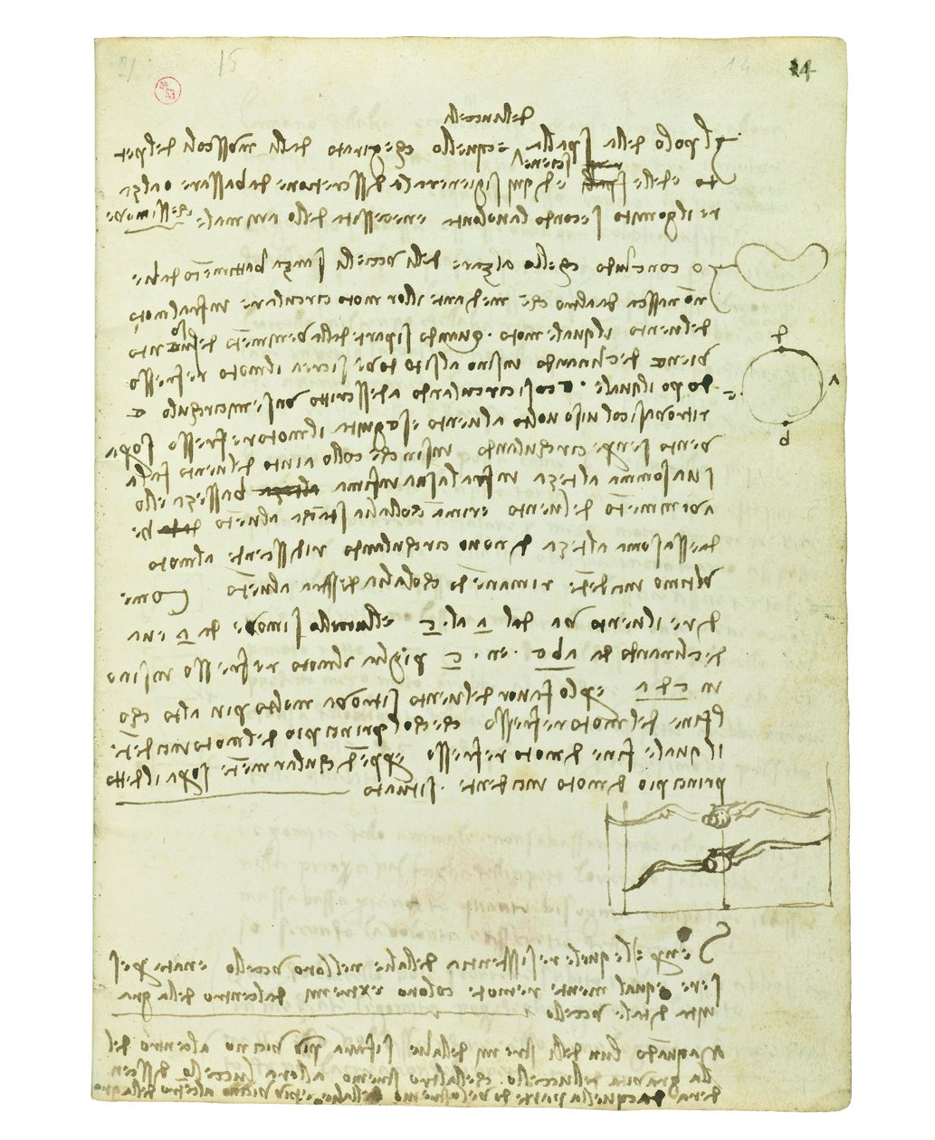 Codex lintujen lennosta, Folio 14 recto tekijältä Leonardo da Vinci