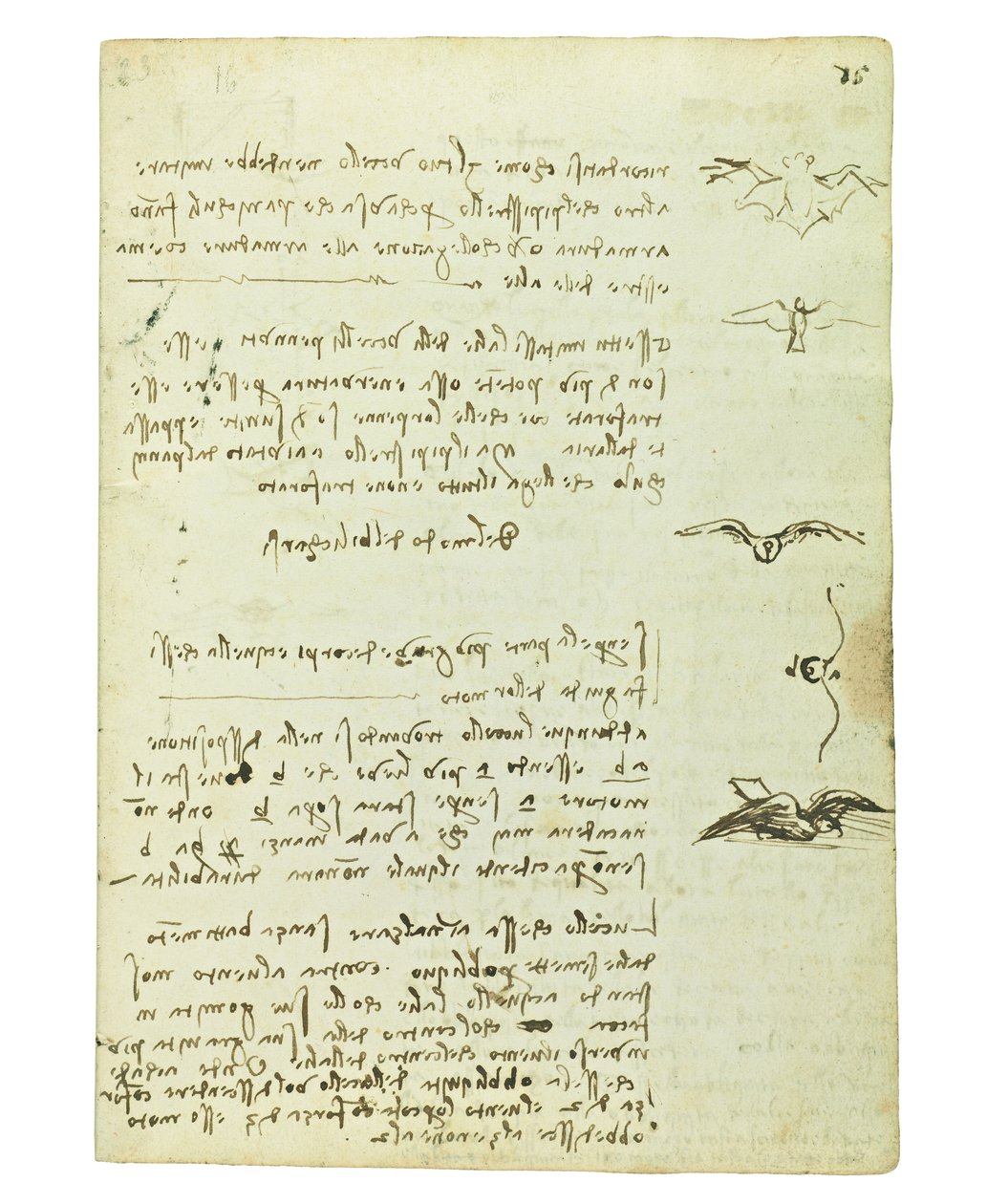 Codex lintujen lennosta, Folio 15 recto tekijältä Leonardo da Vinci