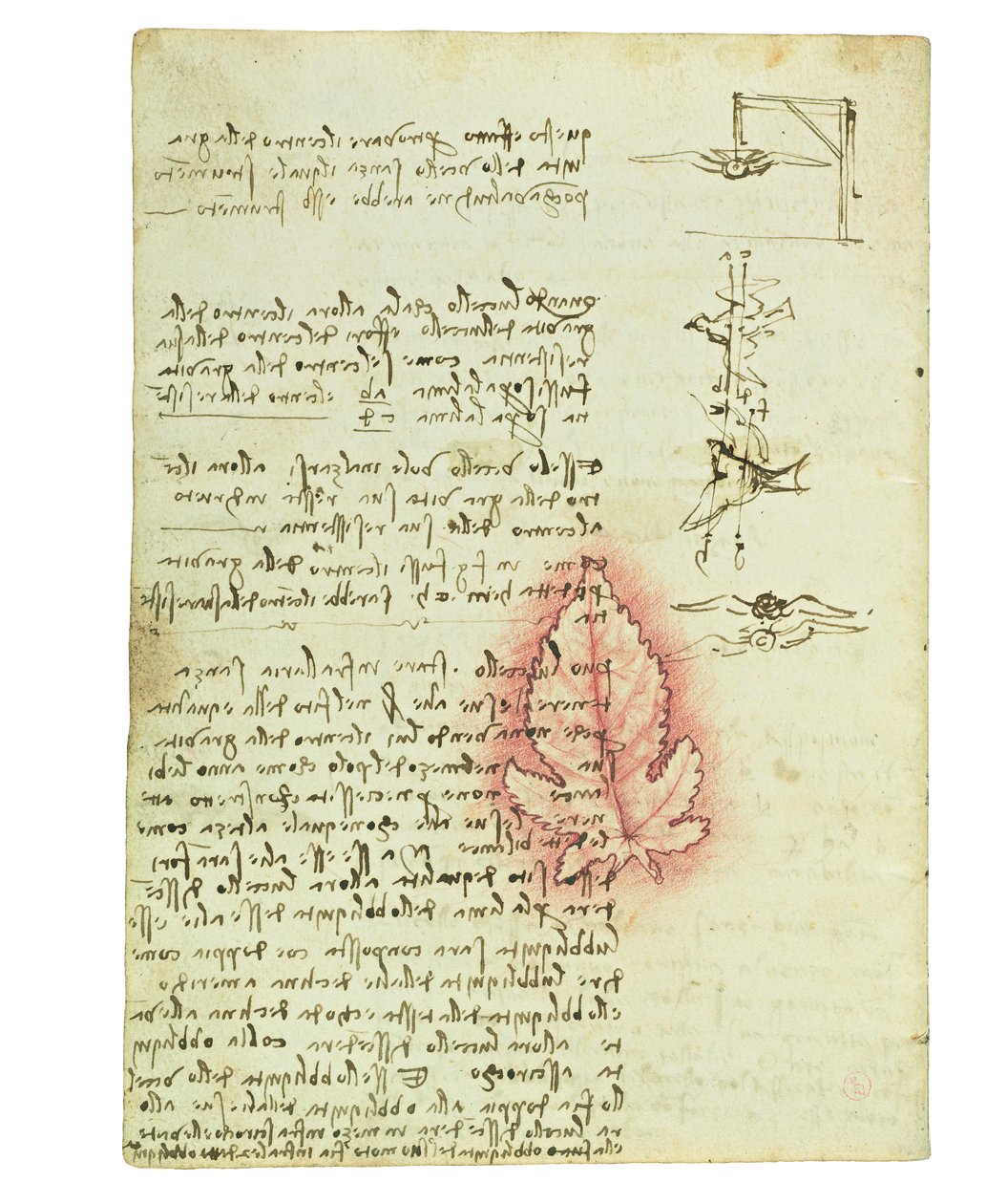 Codex lintujen lennosta, Folio 15 verso tekijältä Leonardo da Vinci