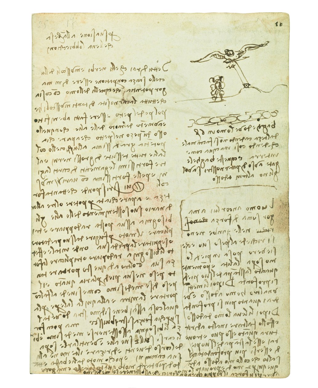 Codex lintujen lennosta, Folio 16 recto tekijältä Leonardo da Vinci