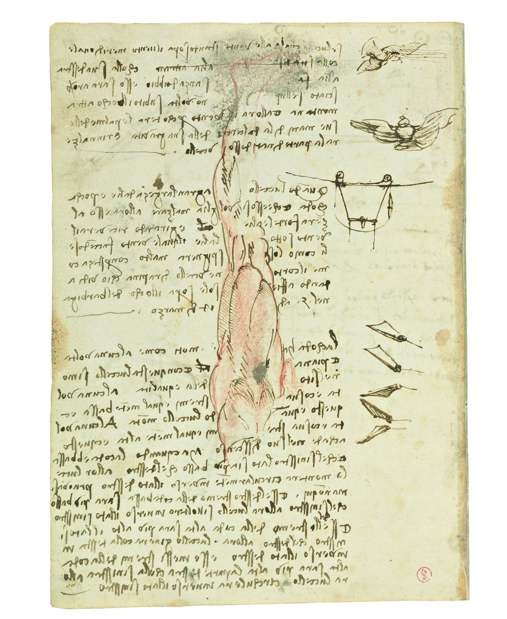 Codex lintujen lennosta, Folio 17 verso tekijältä Leonardo da Vinci