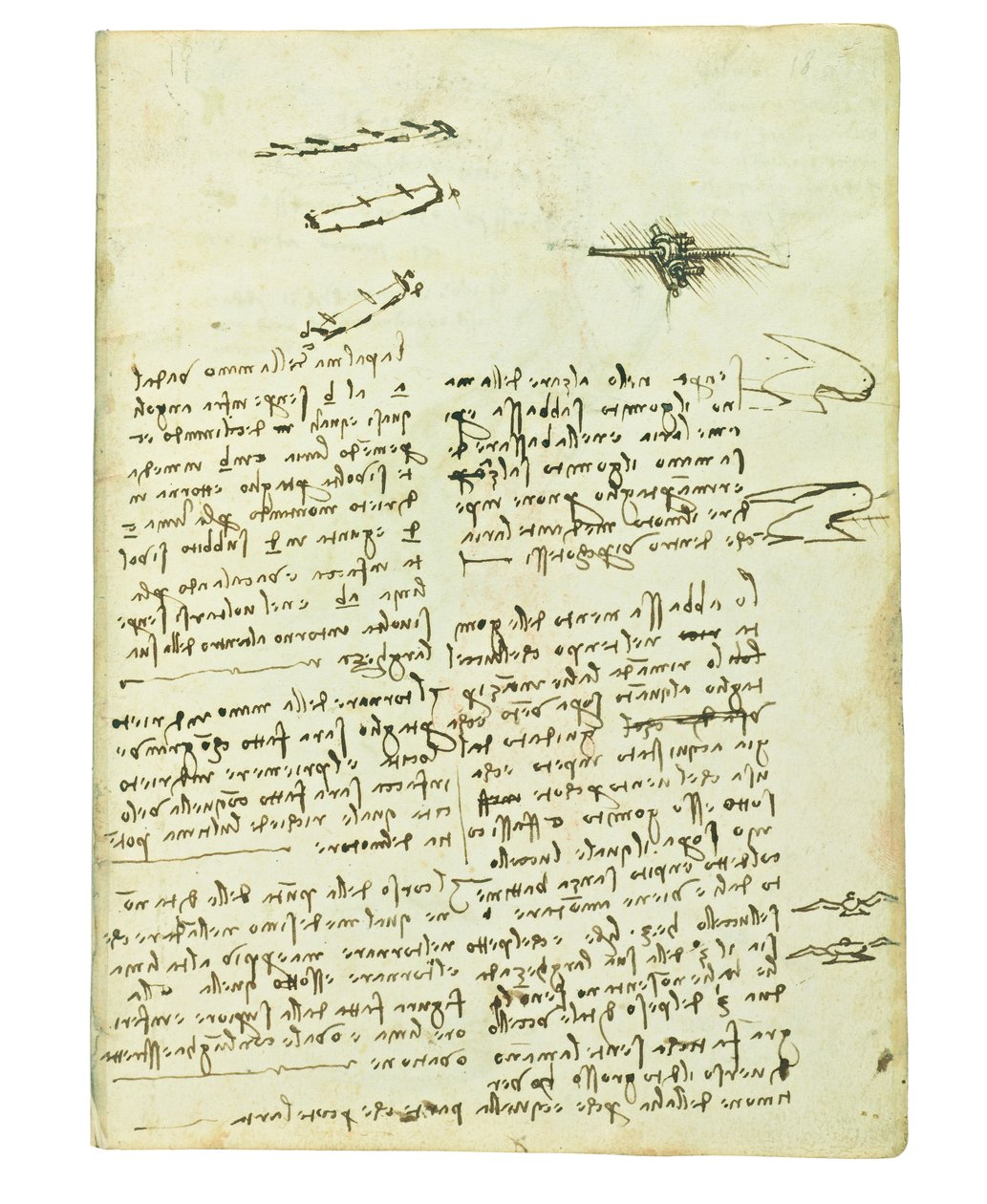 Codex lintujen lennosta, Folio 18 recto tekijältä Leonardo da Vinci