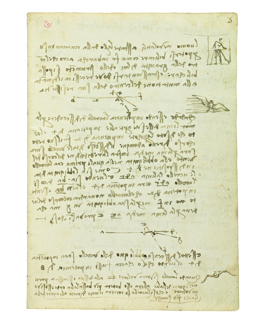 Codex lintujen lennosta, Folio 5 recto tekijältä Leonardo da Vinci