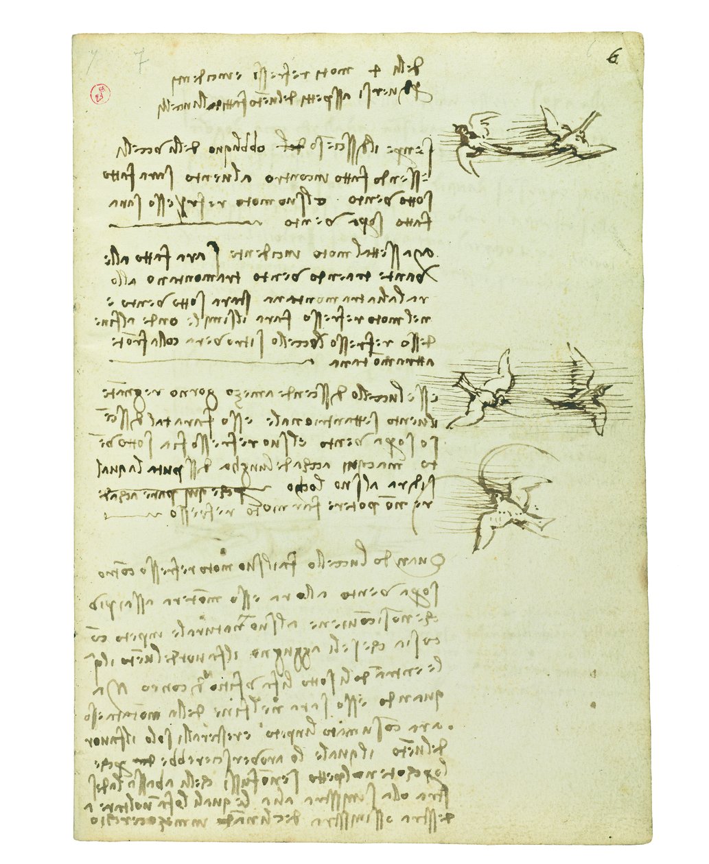 Codex lintujen lennosta, Folio 6 recto tekijältä Leonardo da Vinci