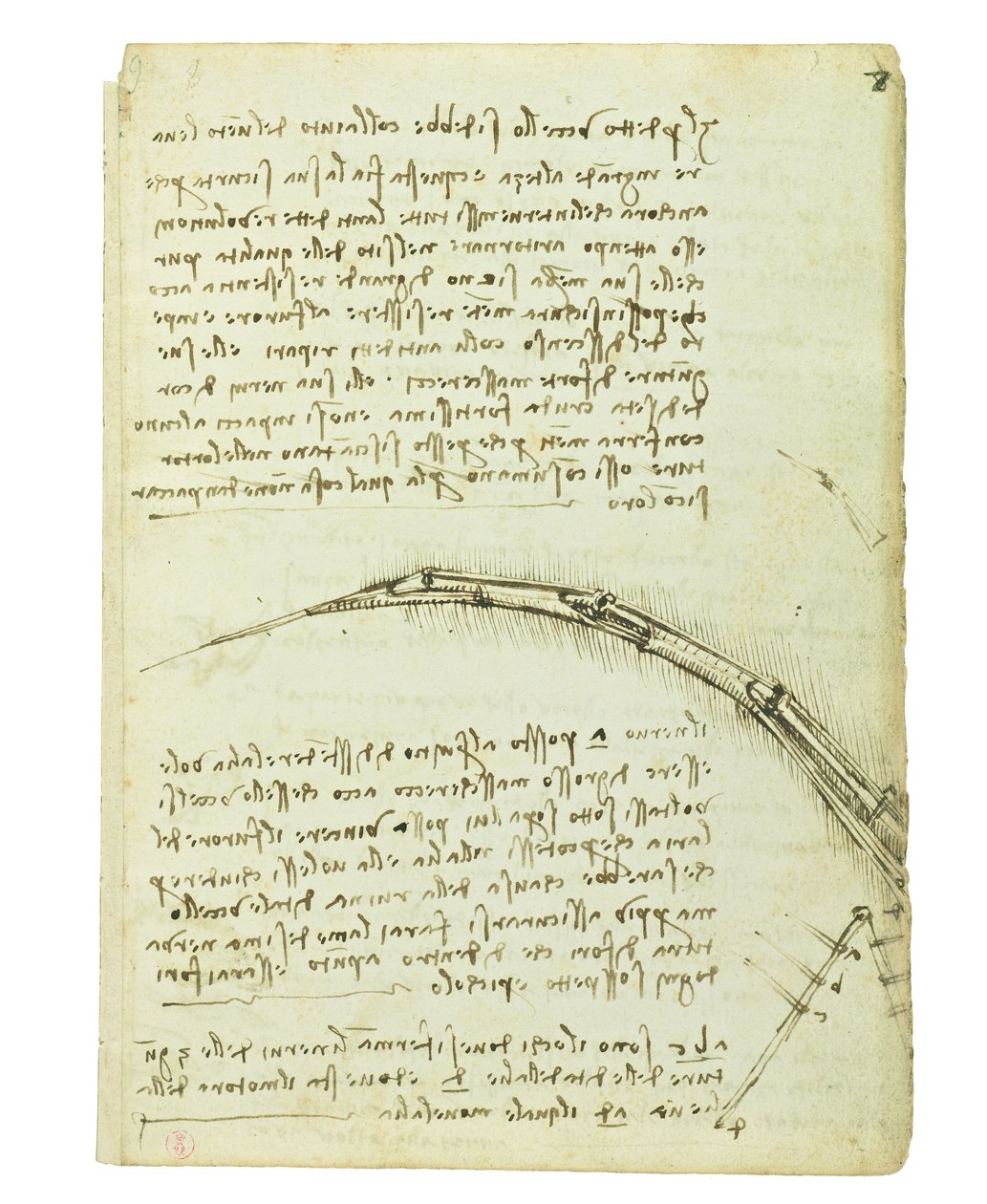 Codex lintujen lennosta, Folio 7 recto tekijältä Leonardo da Vinci