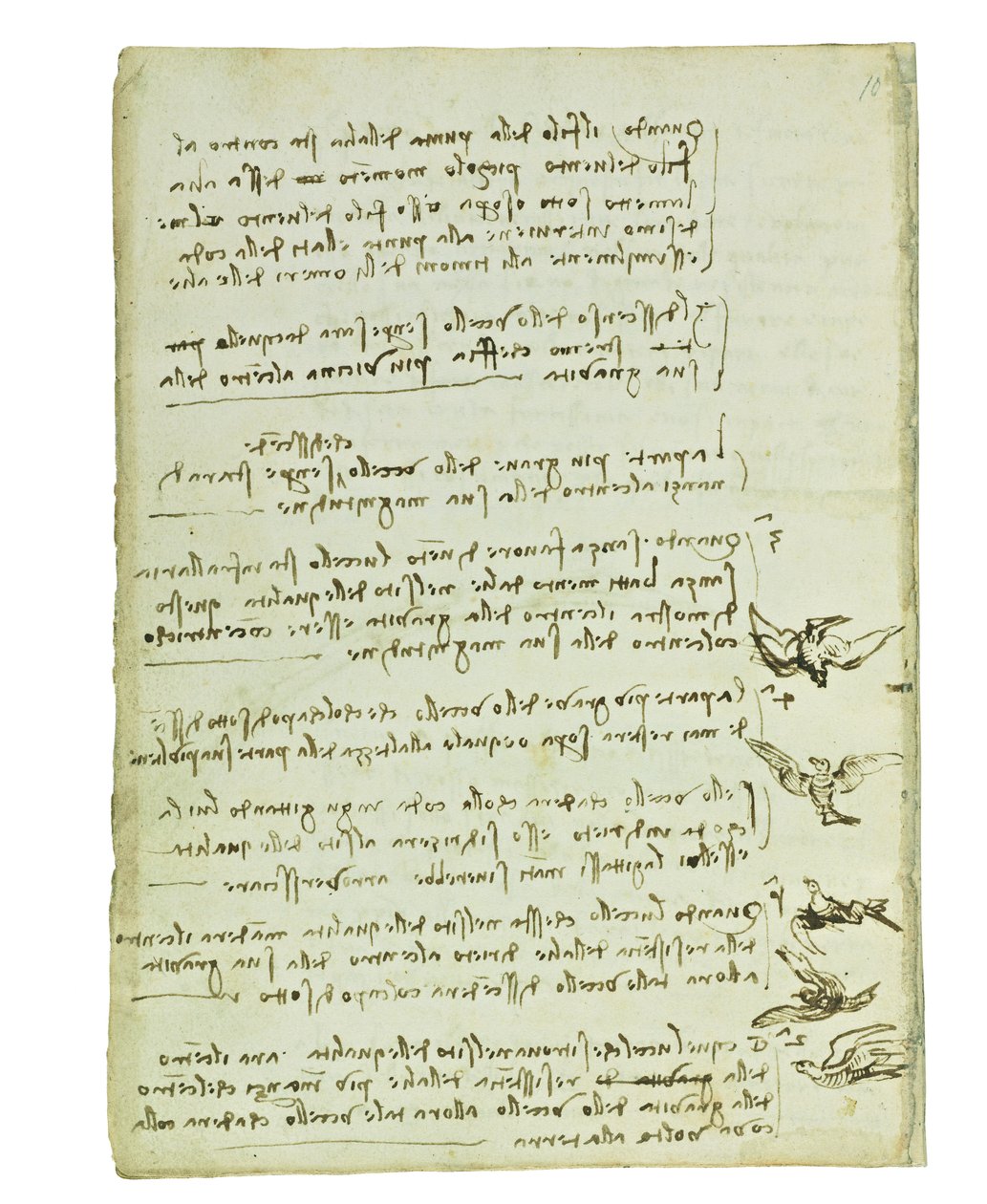 Codex lintujen lennosta, Folio 7 verso tekijältä Leonardo da Vinci