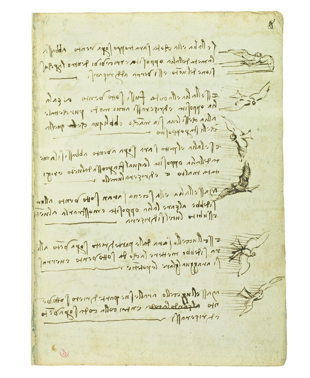 Codex lintujen lennosta, Folio 8 recto tekijältä Leonardo da Vinci