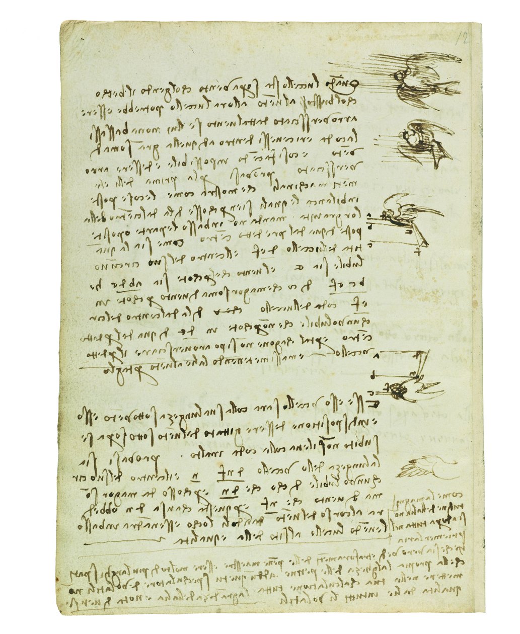 Codex lintujen lennosta, Folio 8 verso tekijältä Leonardo da Vinci