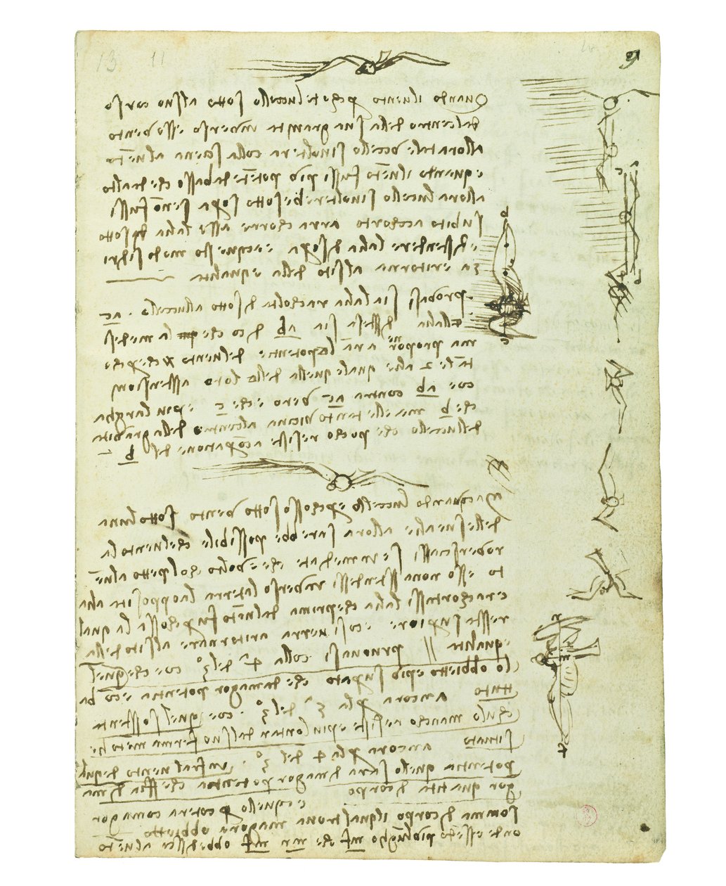 Codex lintujen lennosta, Folio 9 recto tekijältä Leonardo da Vinci