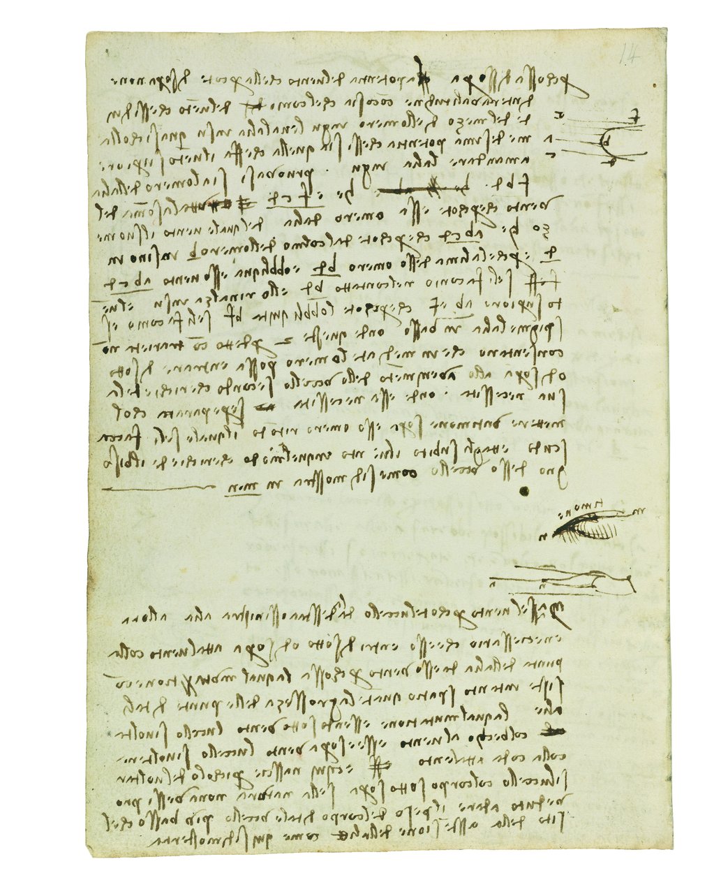 Codex lintujen lennosta, Folio 9 verso tekijältä Leonardo da Vinci