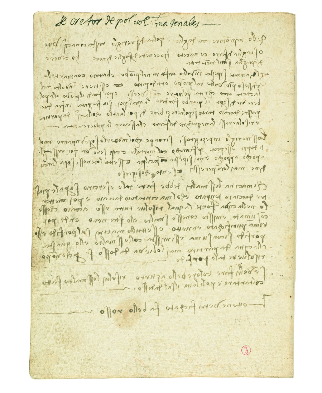 Koodeksi lintujen lennosta, loppupaperi II tekijältä Leonardo da Vinci
