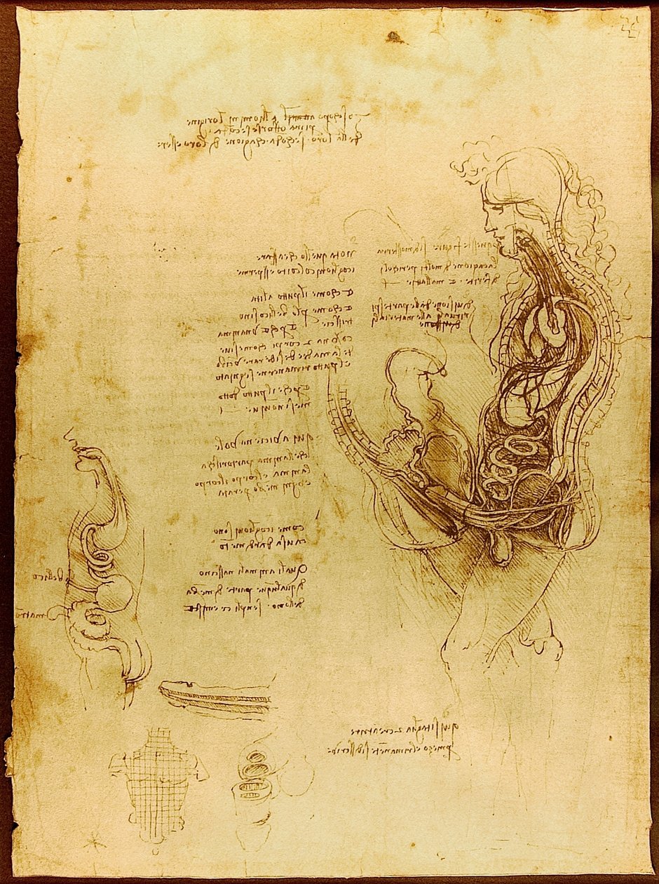 Yhdistetty mies ja nainen Luc Viatour tekijältä Leonardo da Vinci
