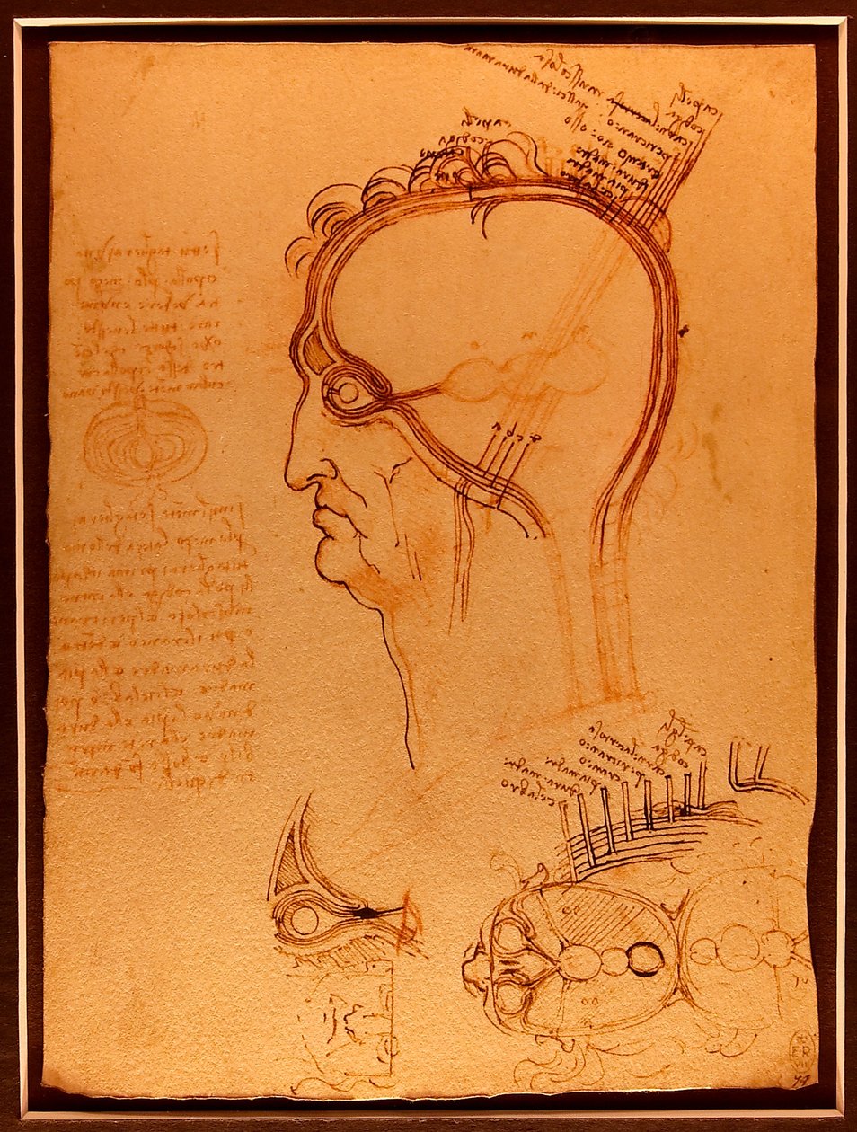 Etudenosturi Luc Viatour tekijältä Leonardo da Vinci