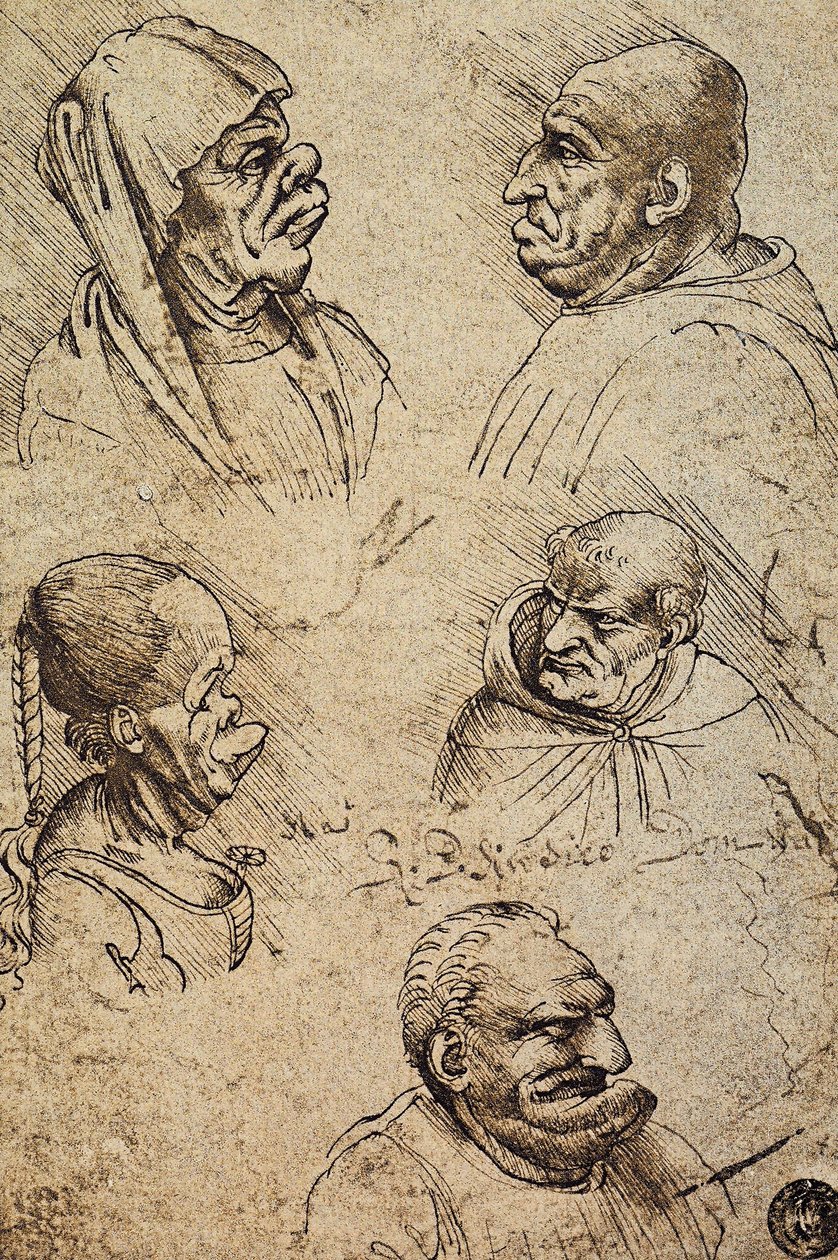 Viisi groteskia päätä, Leonardo da Vincin piirustus. Gallerie dellAccademia, Venetsia tekijältä Leonardo da Vinci