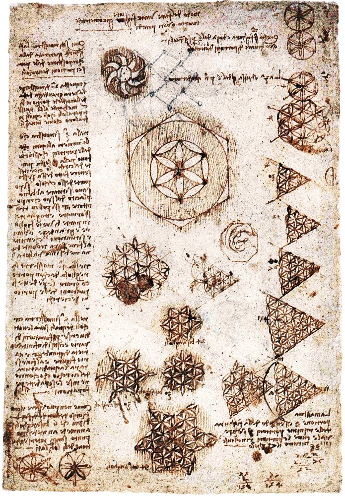 Elämän kukka tekijältä Leonardo da Vinci