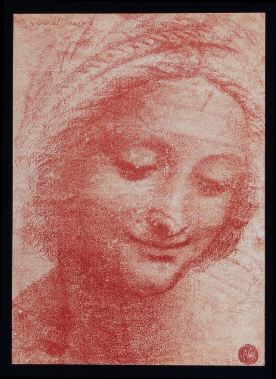 Naisen pää (hiili paperilla) tekijältä Leonardo da Vinci