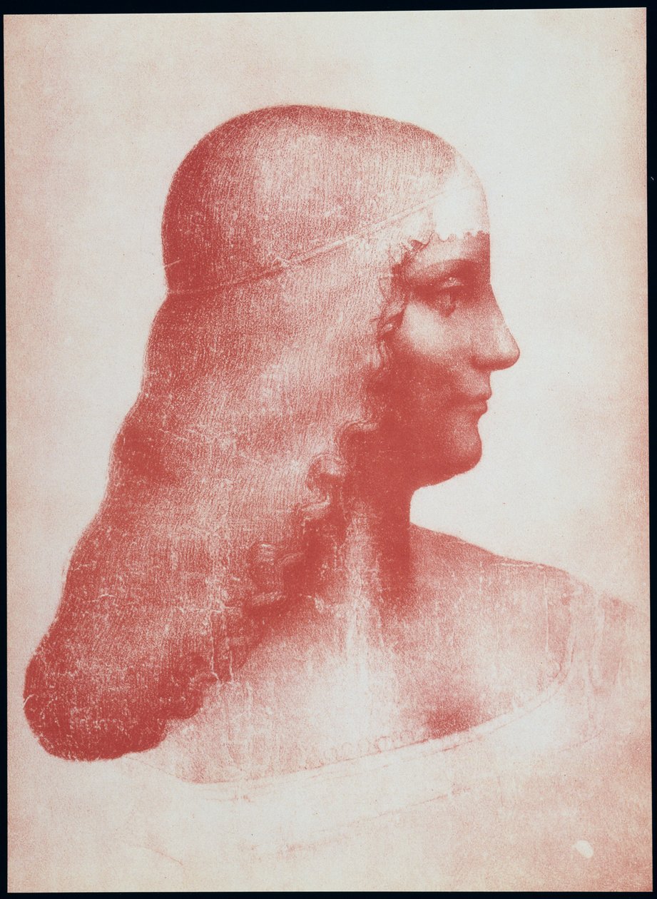 Profiilinaisen pää (punainen liitu paperille) tekijältä Leonardo da Vinci