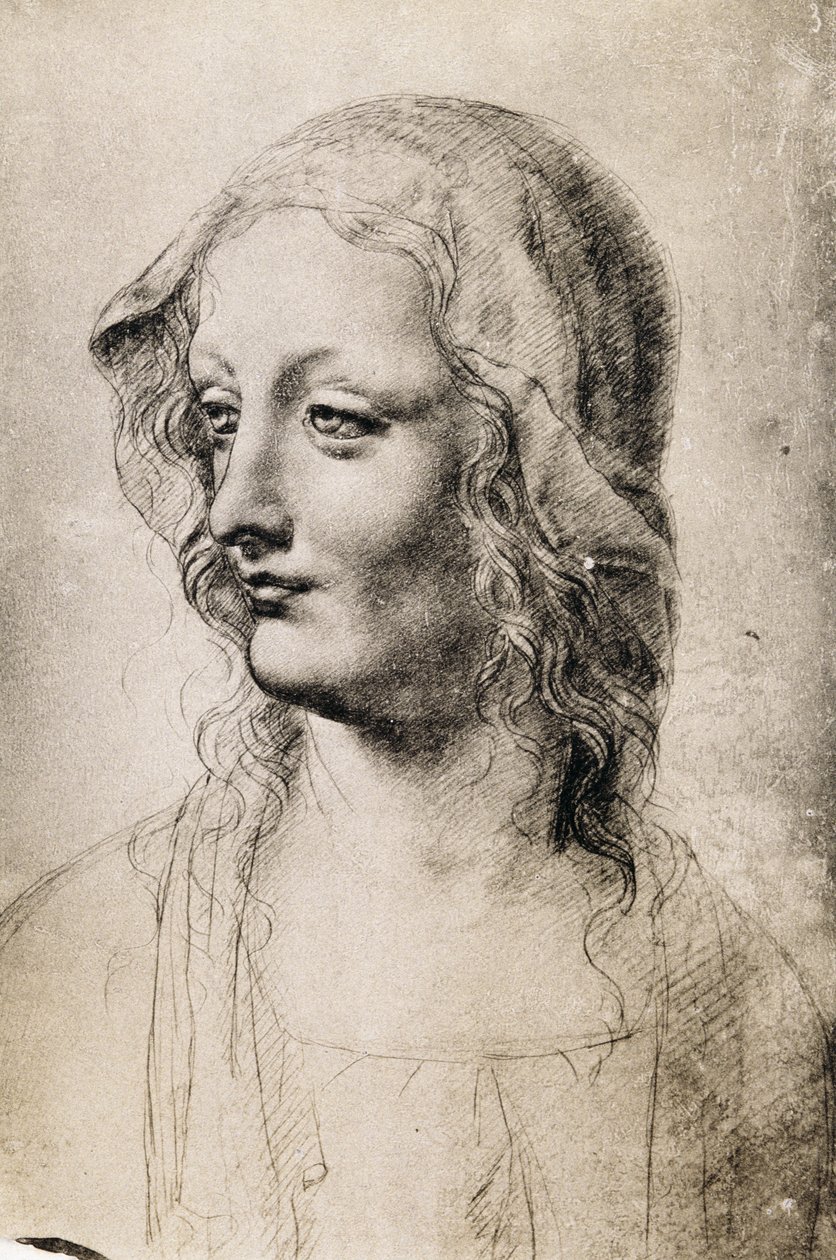 Nuoren naisen pää (hiili paperilla) tekijältä Leonardo da Vinci