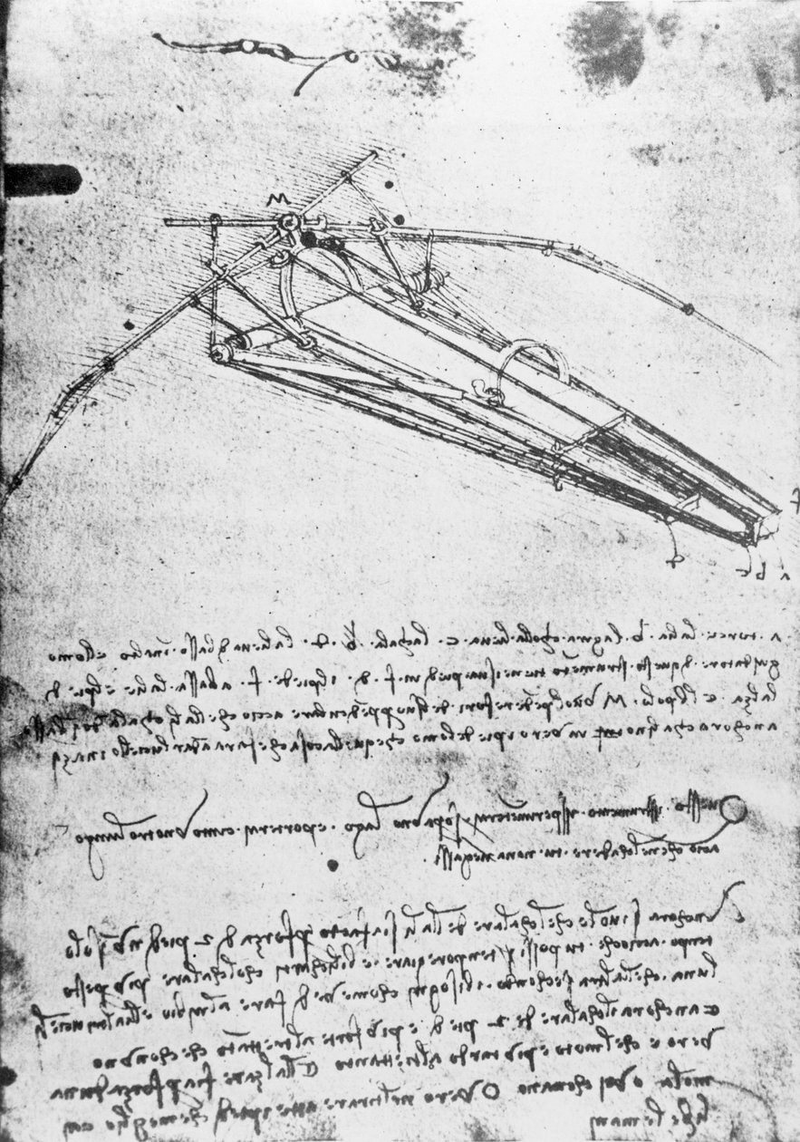 MS B 2173, folio 74v: Tutkimus lentävälle koneelle, 1487-1490 tekijältä Leonardo da Vinci
