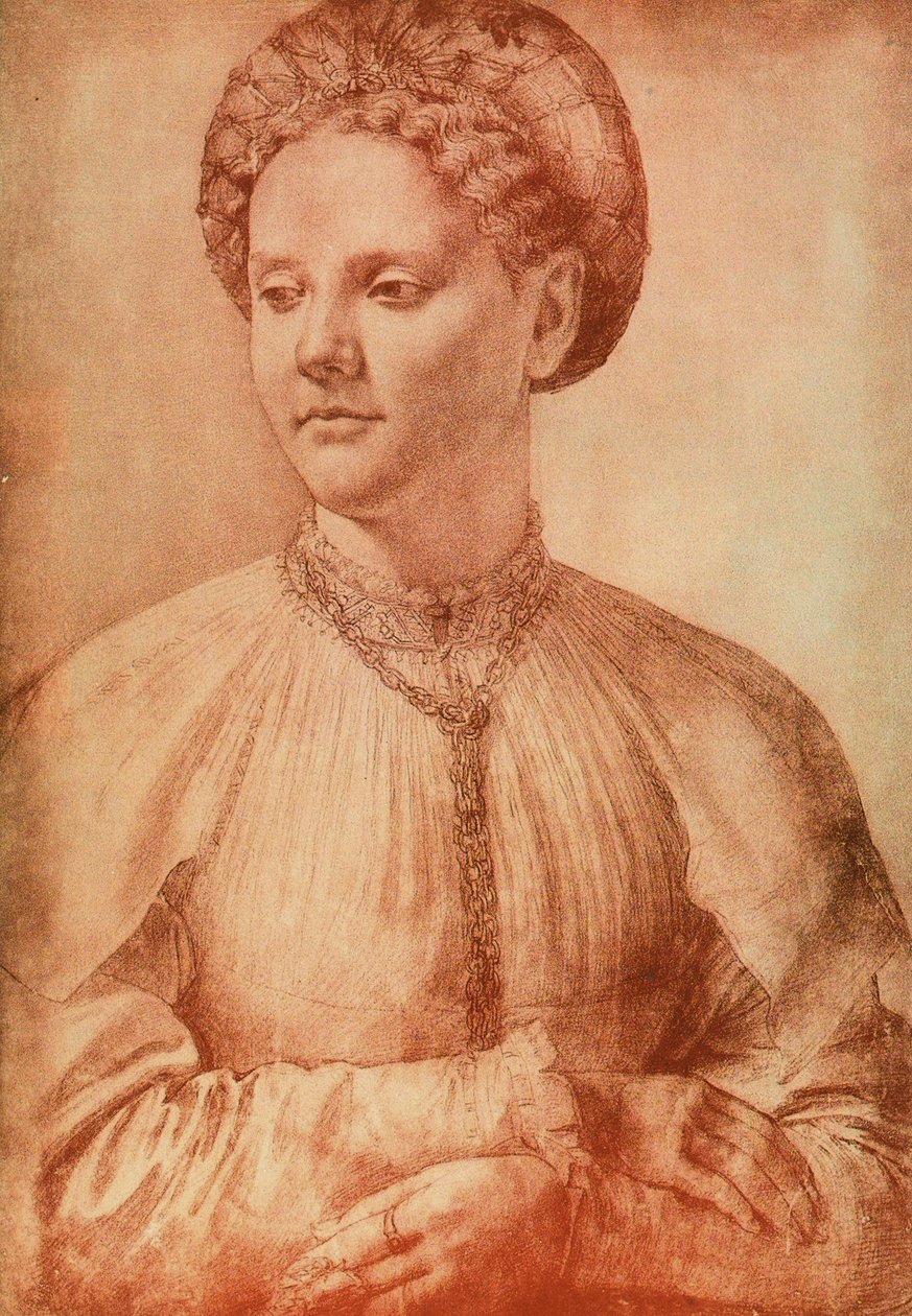 Aatelisnaisen muotokuva, Leonardo da Vincin piirustus. Piirustus- ja grafiikkakaappi, Uffizi-galleria, Firenze tekijältä Leonardo da Vinci