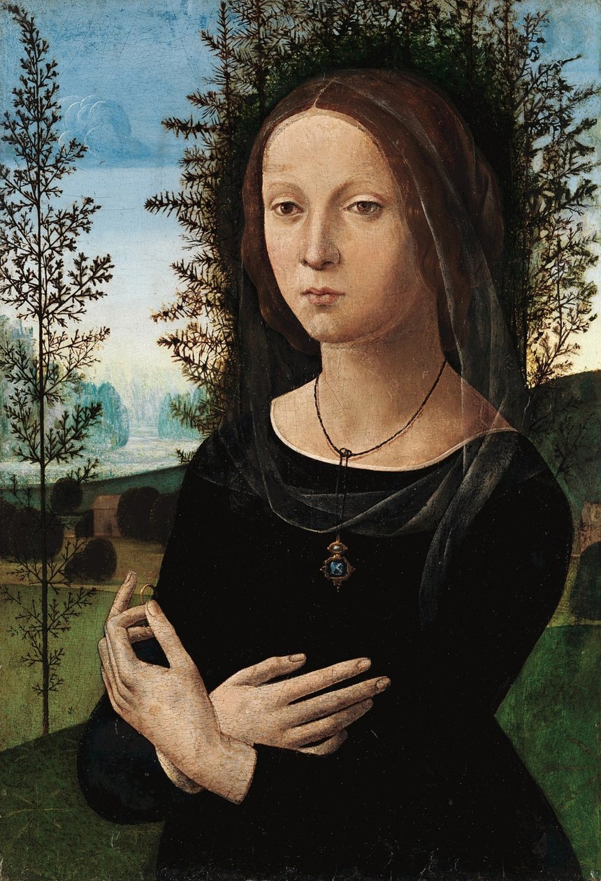 Nuoren naisen muotokuva tekijältä Leonardo da Vinci