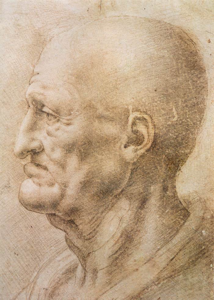 Vanhan miehen profiili tekijältä Leonardo da Vinci