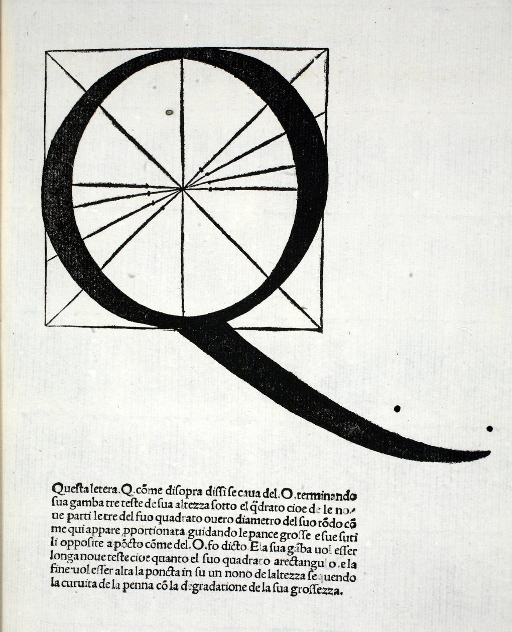 Q, kuvitus Luca Paciolin (n. 1445-1517) "Divina Proportionesta", alunperin pub. Venetsia, 1509 tekijältä Leonardo da Vinci