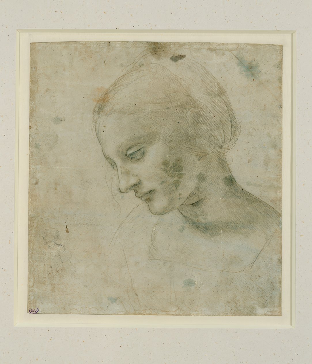 Studie eines weiblichen Kopfes im angenäherten Profil tekijältä Leonardo da Vinci