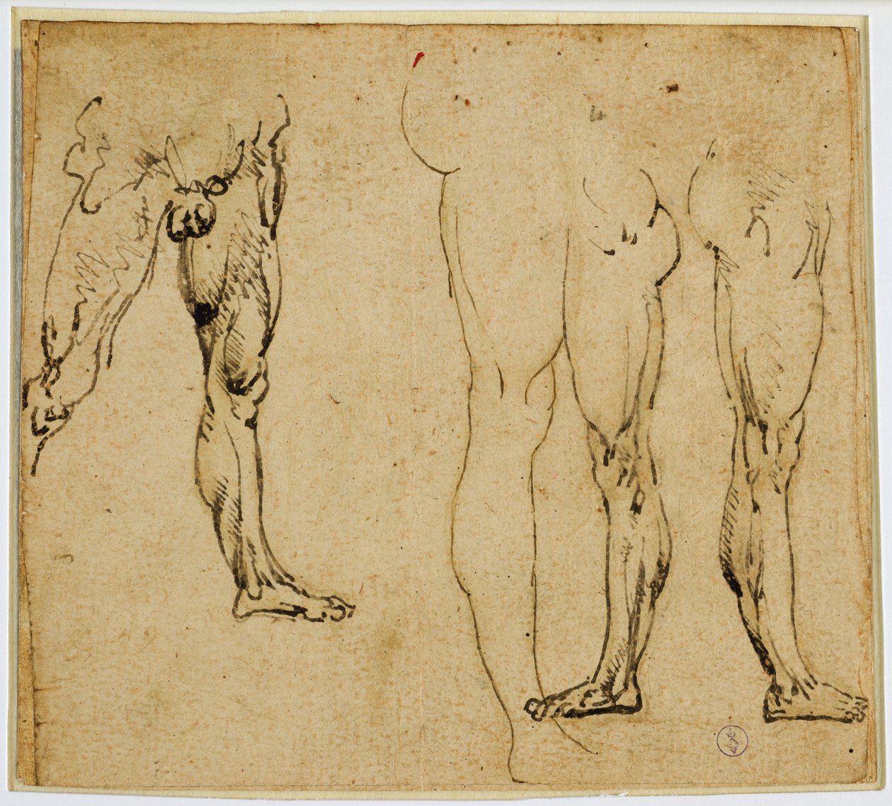 Miehisten jalkojen tutkimukset, n. 1485-1487 (kynä ja muste, metallikärjen jälkiä paperilla) tekijältä Leonardo da Vinci