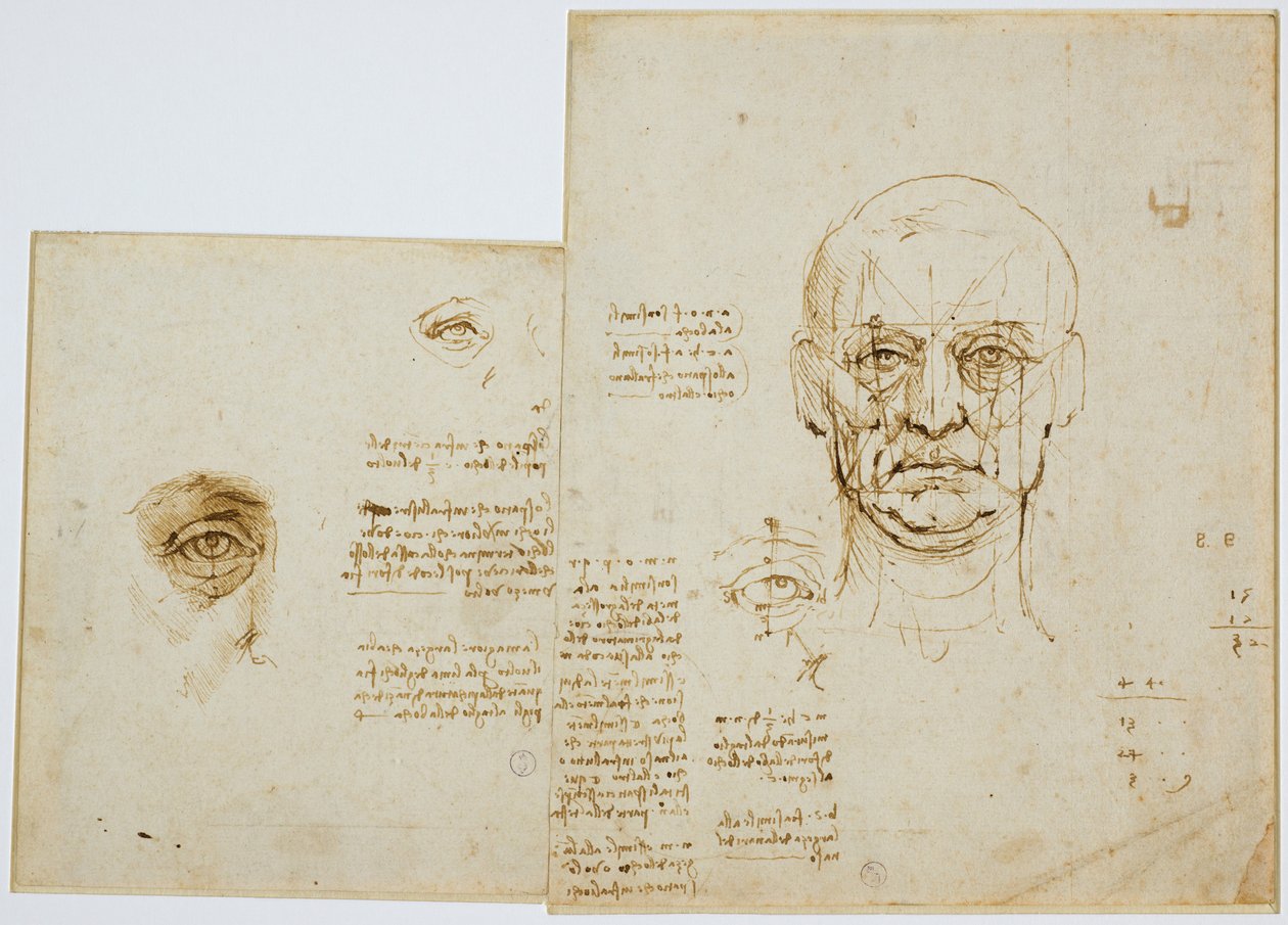 Kasvojen ja silmien mittasuhteiden tutkimukset (muistiinpanoineen), c. 1489-90 (metallinen kärki, kynä ja ruskea muste paperille) tekijältä Leonardo da Vinci