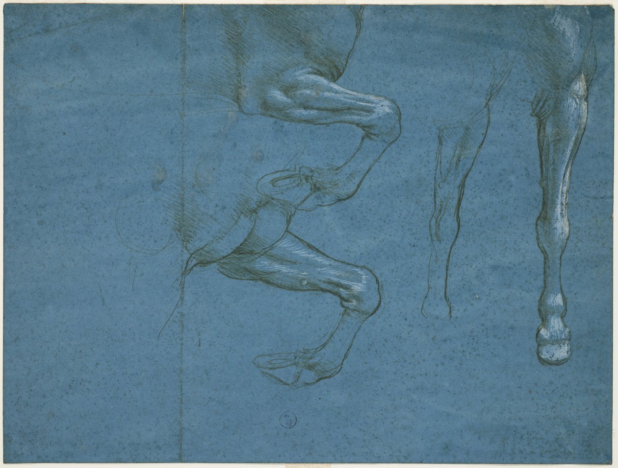Hevosen eturaajojen tutkimukset, n. 1490 (metallikärki ja kalkki sinisellä valmispaperilla) tekijältä Leonardo da Vinci