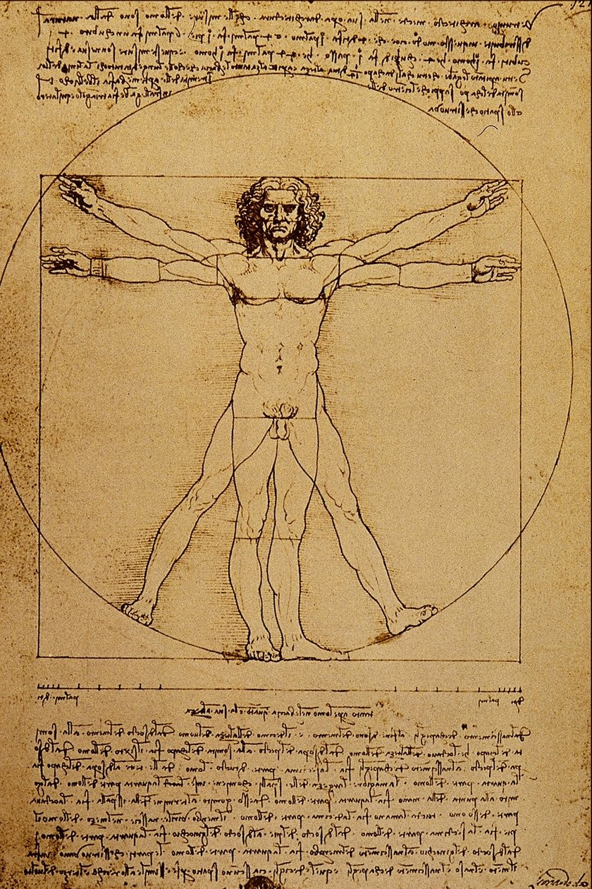 Studio del Corpo Umano tekijältä Leonardo da Vinci