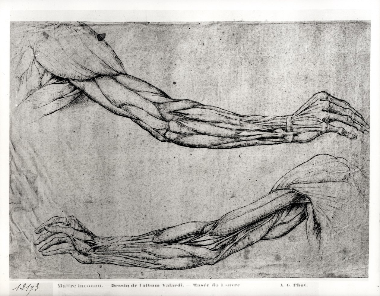 Tutkimus aseista tekijältä Leonardo da Vinci