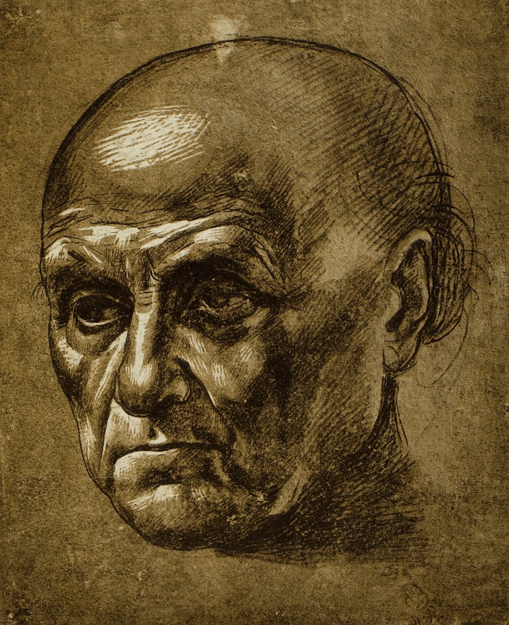 Miehen kasvojen tutkimus; Leonardo da Vincin piirustus. Louvre, Pariisi tekijältä Leonardo da Vinci