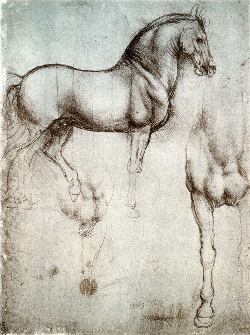 Hevosten tutkimus tekijältä Leonardo da Vinci