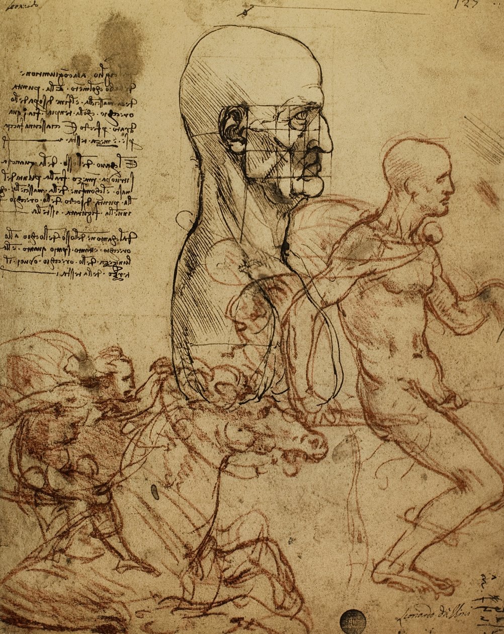 Tutkimus ihmisen fysiologiasta ja ratsumiehistä Anghiarin taistelun maalausta varten; Leonardo da Vincin piirustus. Gallerie dellAccademia, Venetsia tekijältä Leonardo da Vinci