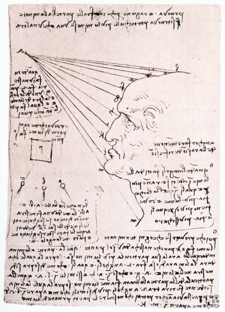 Tutkimus valon vaikutuksesta profiilipäähän tekijältä Leonardo da Vinci