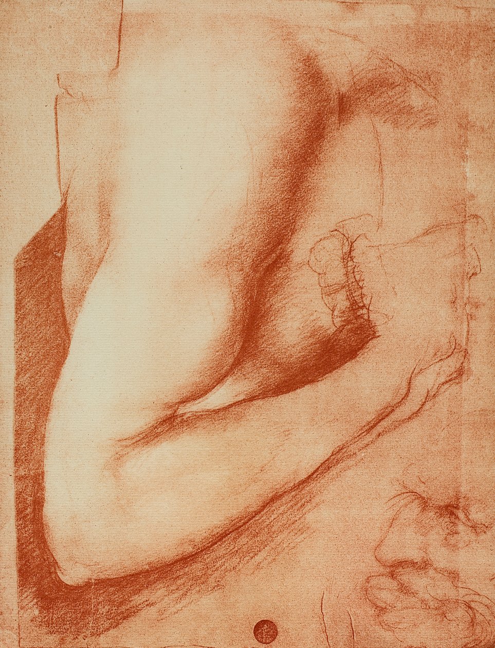 Käsivarren tutkimus, Leonardo da Vincin piirustus. Gallerie dell