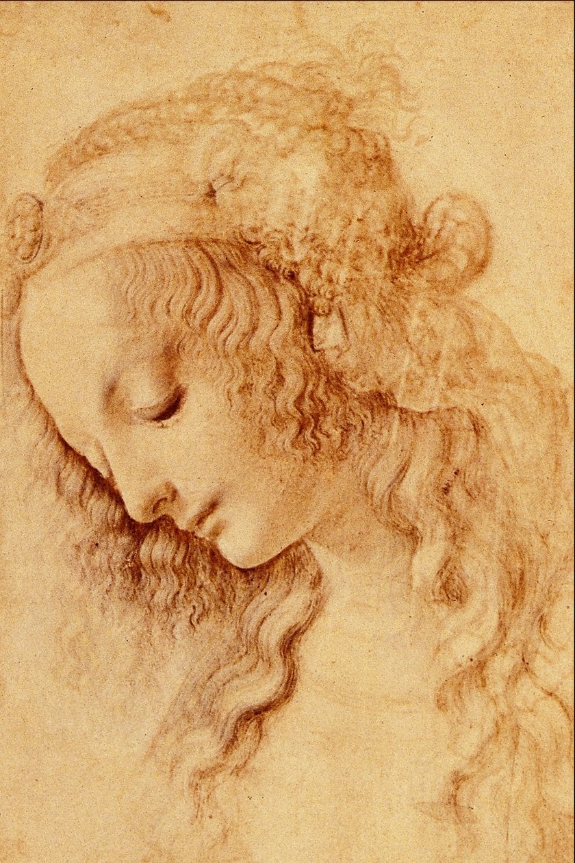Naisen päät profiilissa tekijältä Leonardo da Vinci