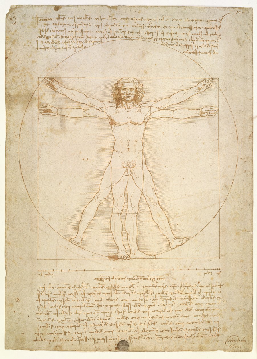 Ihmishahmon mittasuhteet (Vitruviuksen mukaan), noin 1492. tekijältä Leonardo da Vinci