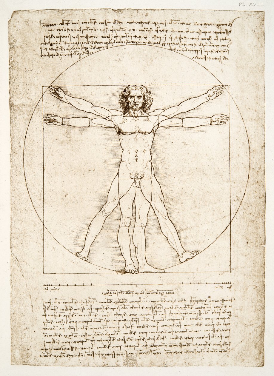 Ihmishahmon suhteet (Vitruviuksen jälkeen), n. 1492 (faksimile) tekijältä Leonardo da Vinci