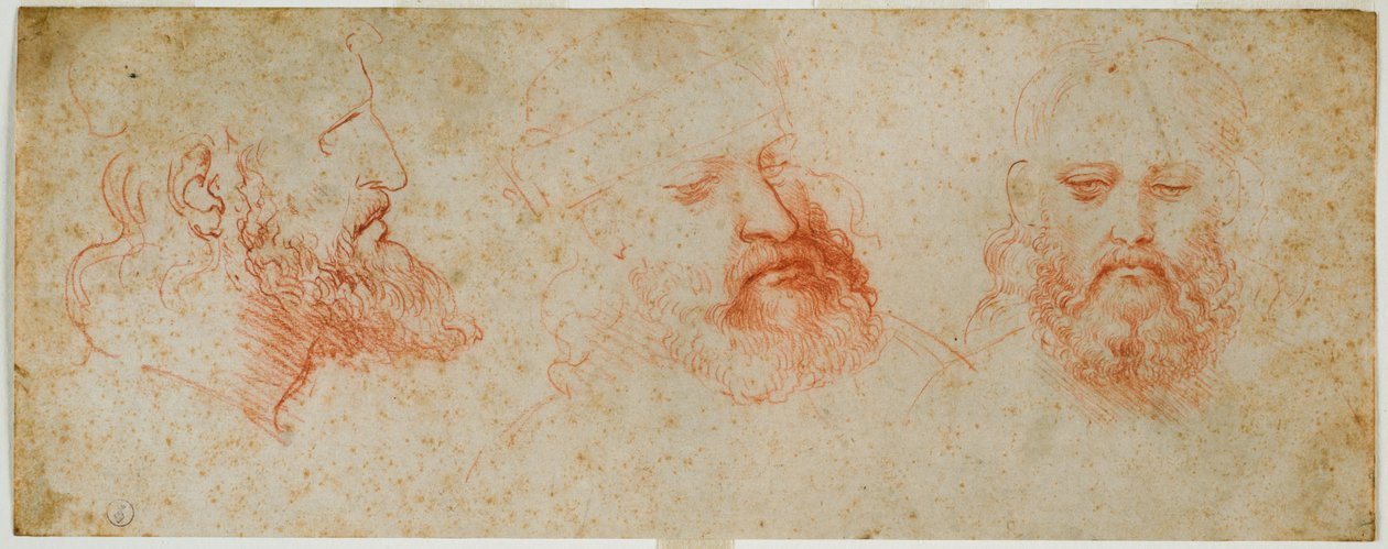 Kolme näkymää miehisestä päästä ja parrasta, c. 1502 (verta paperille) tekijältä Leonardo da Vinci