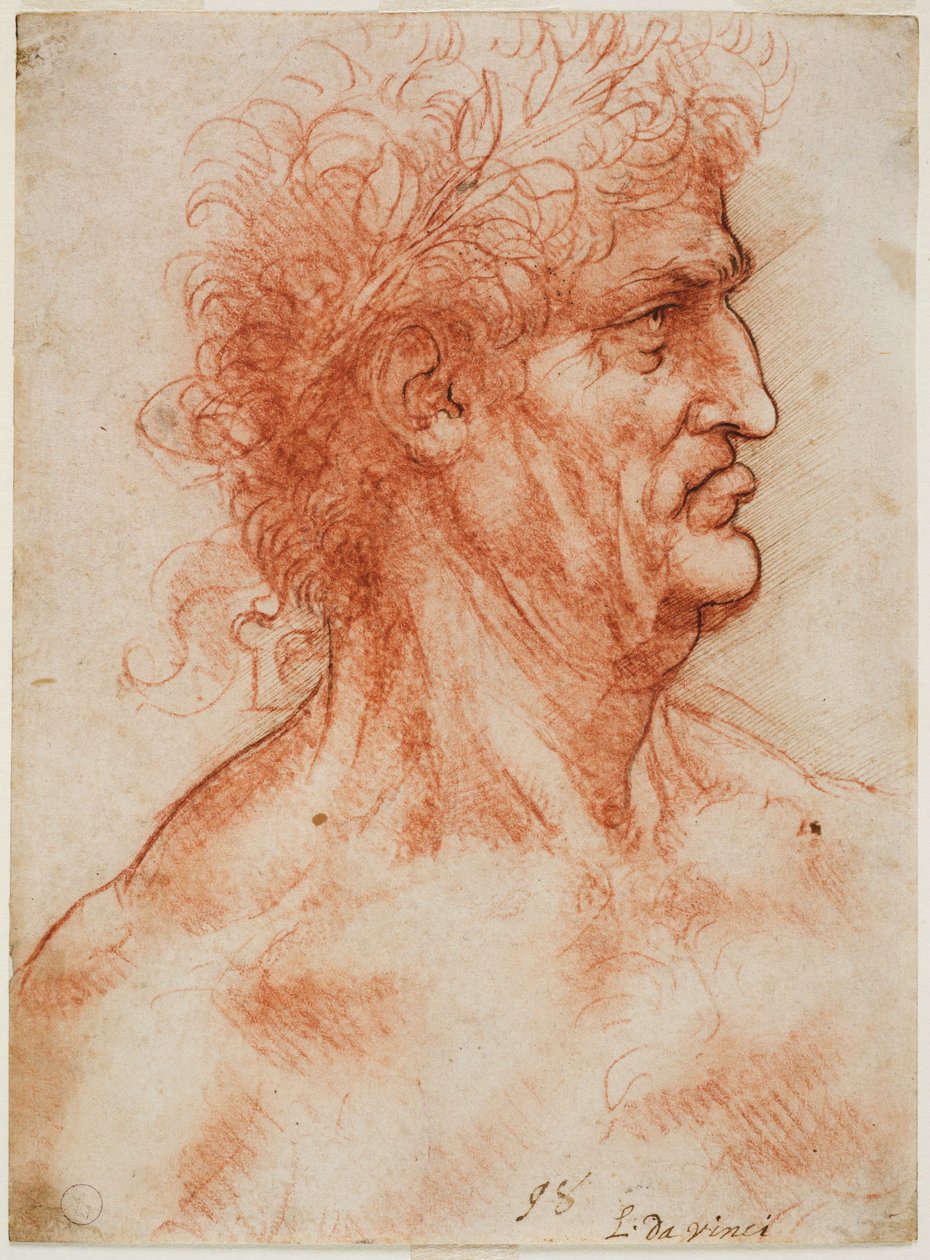 Laakereilla kruunattu vireä profiilipää, n. 1506-10 (veri, jonka ääriviivat on ristitetty kynällä valkoisella paperilla) tekijältä Leonardo da Vinci