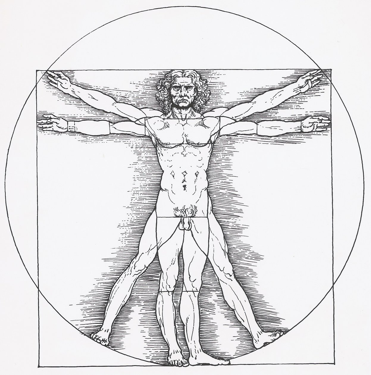 Vitruvianischer Mann tekijältä Leonardo da Vinci